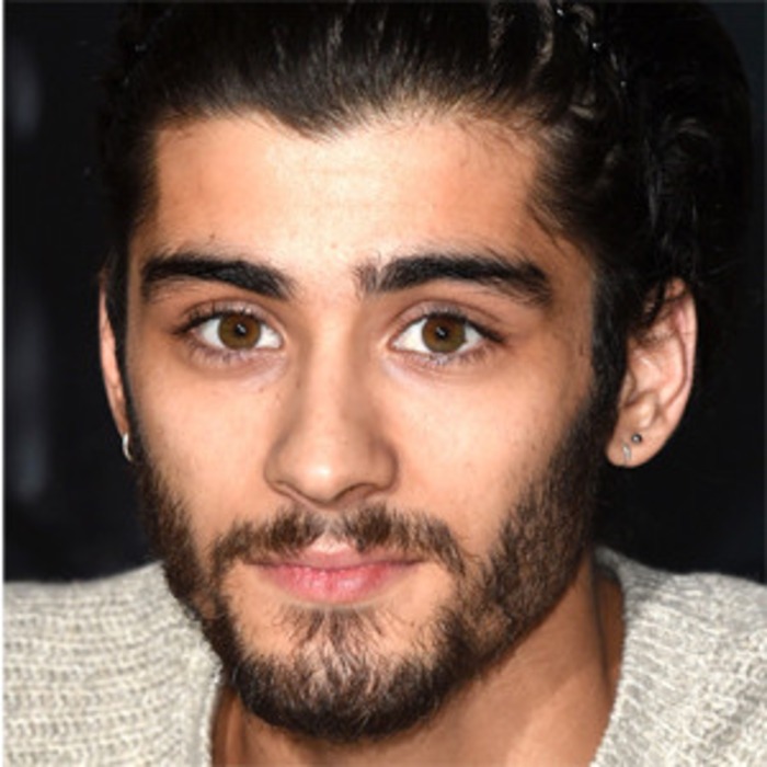 zayn malik is writing a book 5 things we want him to address e news